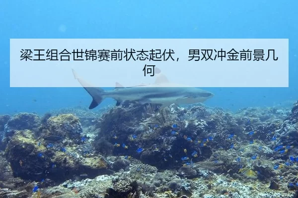 梁王组合世锦赛前状态起伏，男双冲金前景几何