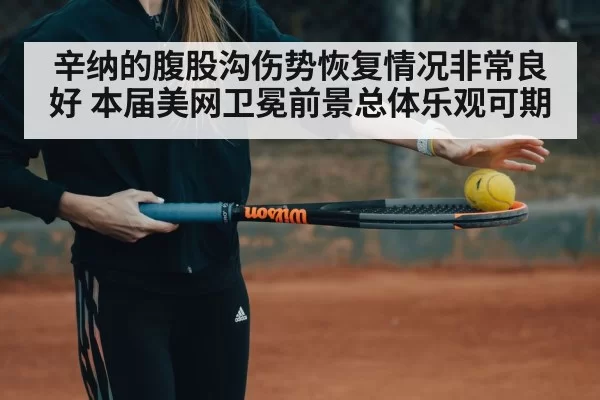 辛纳的腹股沟伤势恢复情况非常良好 本届美网卫冕前景总体乐观可期